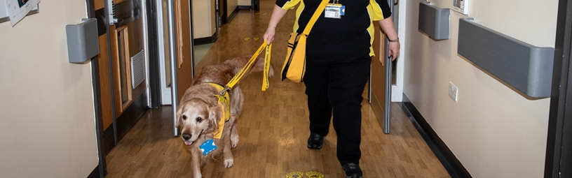 Therapy Dog Brings Joy to Children’s Ward on National Pet Day Therapy Dog Brings Joy to Children’s Ward on National Pet Day